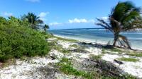 414059, Little Cayman Beachfront Development Site